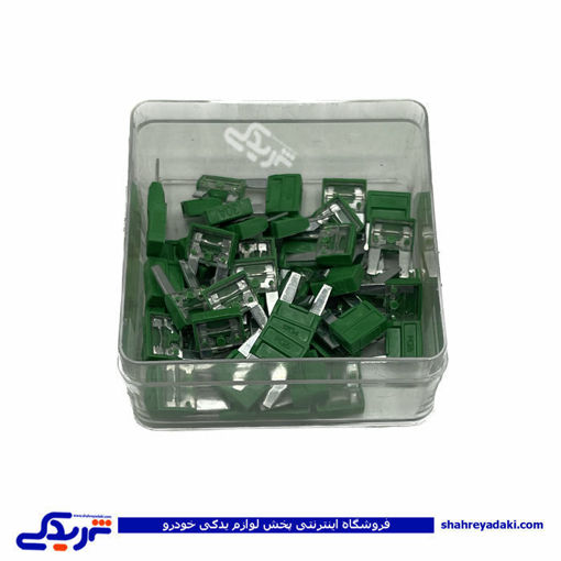 پژو فیوز دو شاخ 206 آمپر 30 9000601364