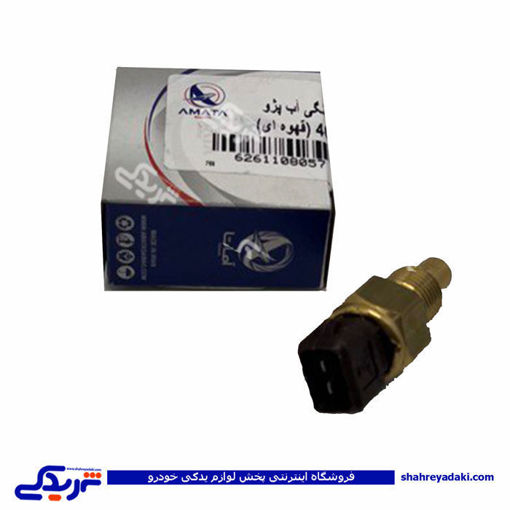 پژو مهره آب دو فیش قهوه ای (فشنگی) آماتاصمد 11080578