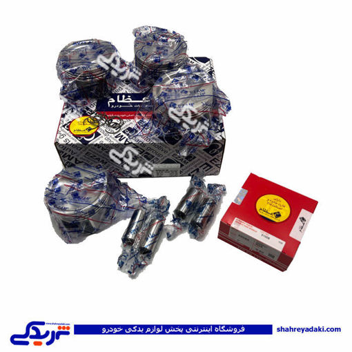 پژو پیستون موتور روآ RO20 با گژنپن و خارعظام 9000555051