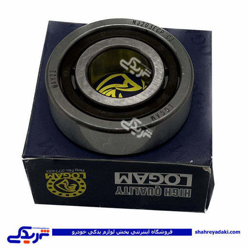 پژو رولبرینگ داخل گلدونی روآ ROA 9000892049