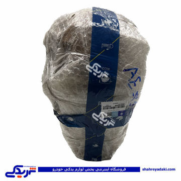 کله گاوی آریسان ایساکو 680400399