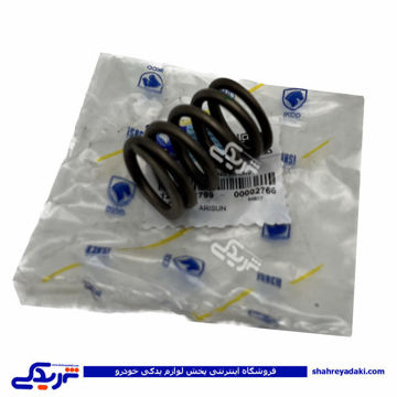 پژو فنر سوپاپ روآ و اریسان ایساکو 1210502799