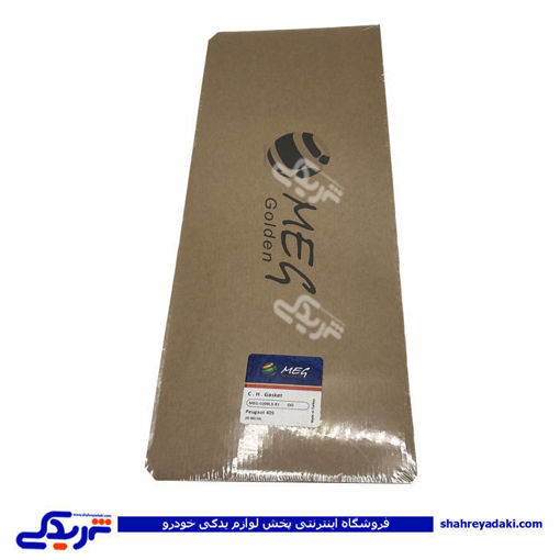 پژو واشر سرسیلندر 405 2 سوراخ MEG 9000240969