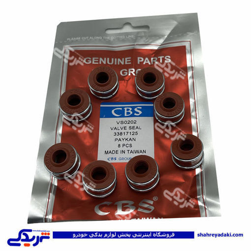 لاستیک سوپاپ 2 فنره پیکان CBS 202cbs
