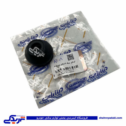 پژو گردگیر سیبک چپقی 405 پلاستیکی دینا پارت 1203070