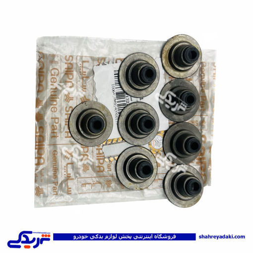 تیبا لاستیک سوپاپ سایپا یدک 100641PM9