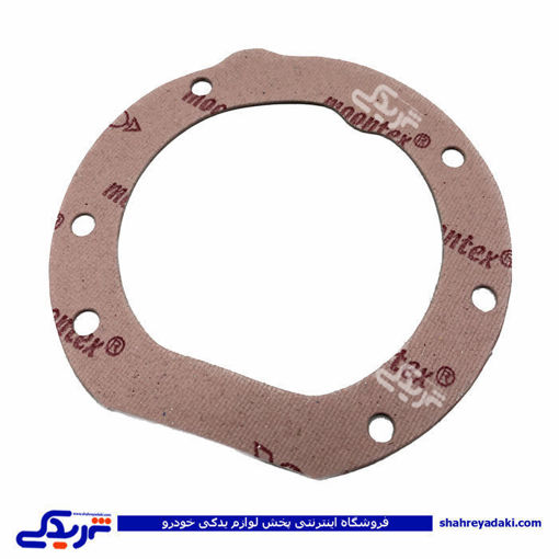 واشر گلدونی کوچک پیکان 9000719082