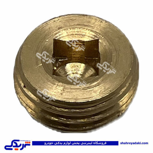 پژو کورکن کانال روغن اویل پمپ 405 و سمند 9000803366