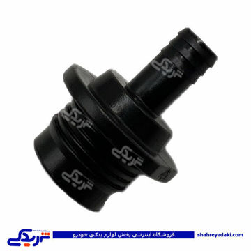 نمکدانی چپقی سوپاپ بوستر پیکان مدل بوستر طلائی اذین تنه  201101088 ( عمده )