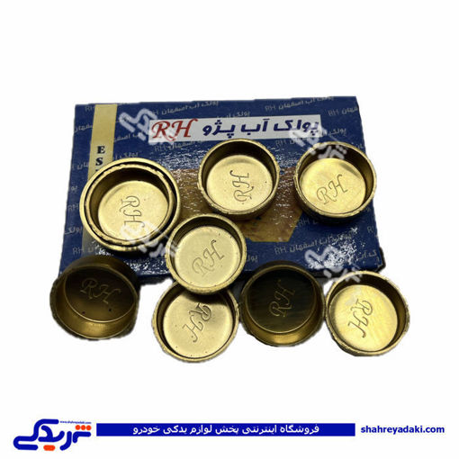 پژو پولک آب 206 تیپ 5 اصفهان 9000252800 ( عمده )