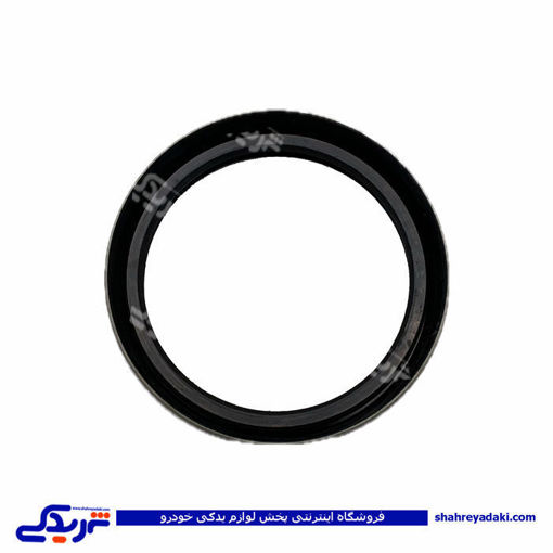نیسان کاسه نمد چرخ جلو 9000980040 ( عمده )