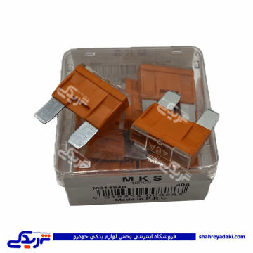 فيوز دو شاخ 40 آمپر نارنجی سايز بزرگ ( عمده ) 9000601230
