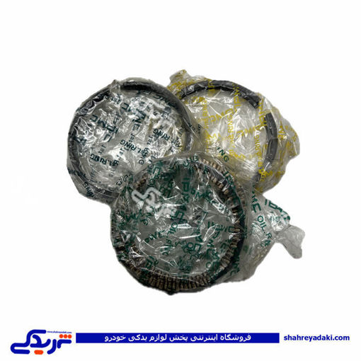 رينگ موتور پيکان بدون جعبه 30  9000999257 ( عمده )