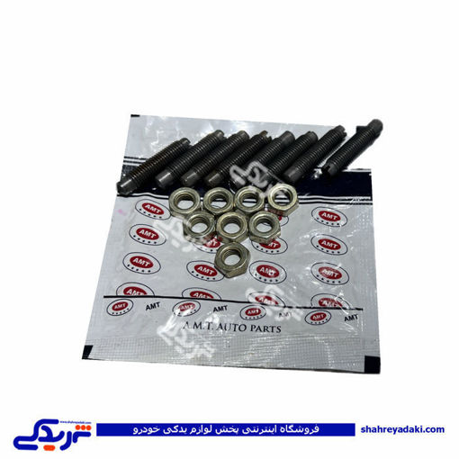 پیچ و مهره تنظیم سوپاپ ( انگشتی ) پیکان دلیتکس AMT 9000251012 ( عمده )