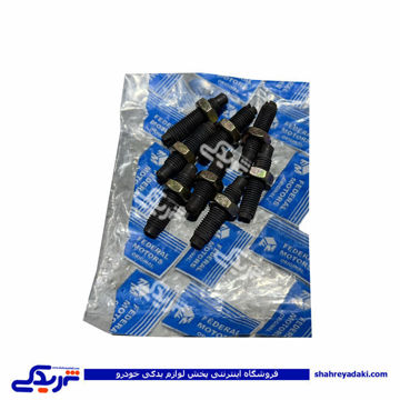 پیچ و مهره تنظیم سوپاپ ( انگشتی ) فدرال موتورز پیکان 9000251036 ( عمده )