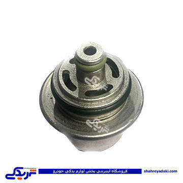 پژو ریگلاتور بنزین 405 (فشارشکن)  9000138945