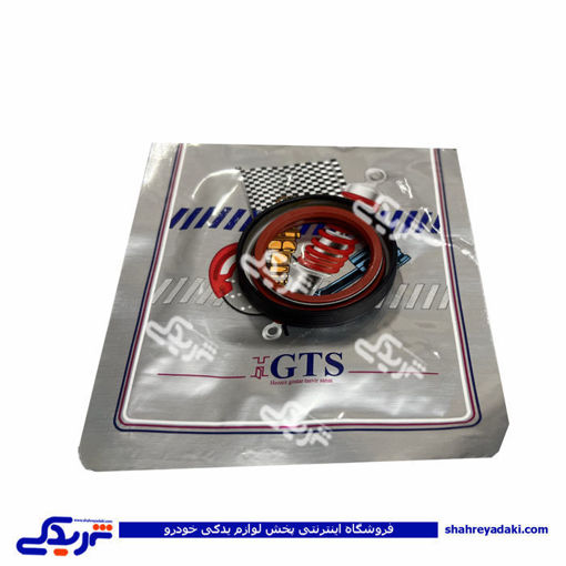 پژو کاسه نمد میل سوپاپ 405 GTS