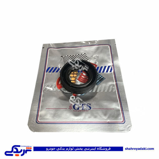 پژو کاسه نمد پلوس 405 کوچک GTS