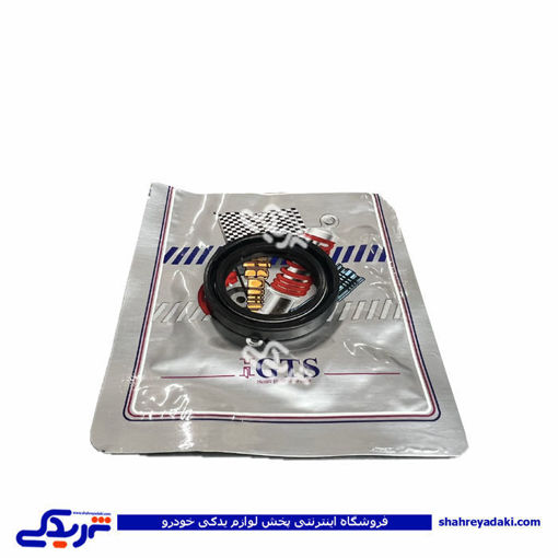 پراید کاسه نمد پلوس GTS