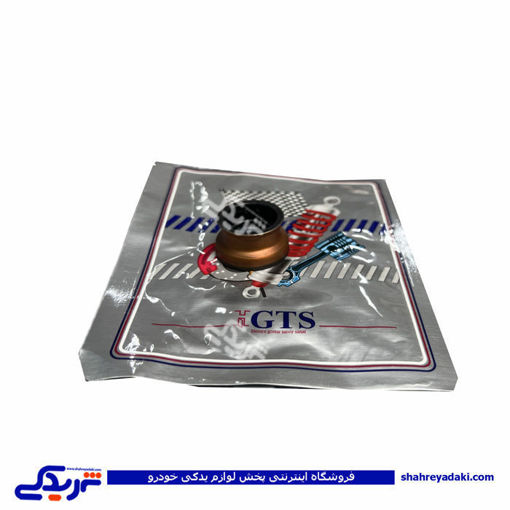 پراید کاسه نمد قیفی ماهک دنده GTS