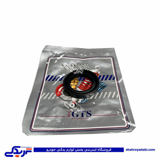 پراید کاسه نمد میل سوپاپ GTS 9000240113
