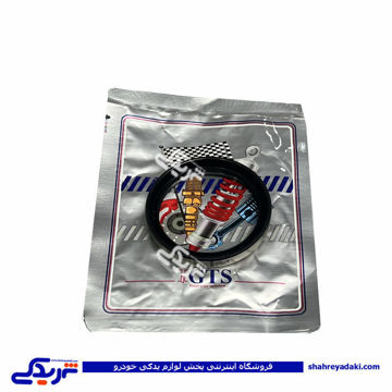 پراید کاسه نمد چرخ جلو درونی بی لبه کوچک GTS 9000240116