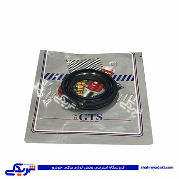پژو کاسه نمد ژامبون ( اکسل عقب ) 206 GTS 9000240130