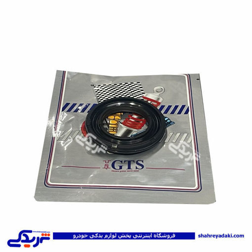 پژو کاسه نمد ژامبون ( اکسل عقب ) 206 GTS 9000240130