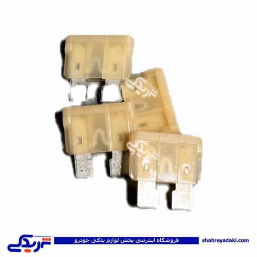 فیوز دو شاخ 25 آمپر 32 ولت وسط سفید ایساکو 1250700299