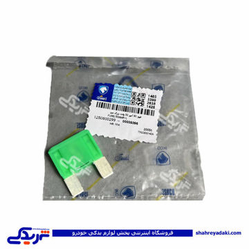 فیوز دو شاخ 30 آمپر 32 ولت ایساکو 1250800299