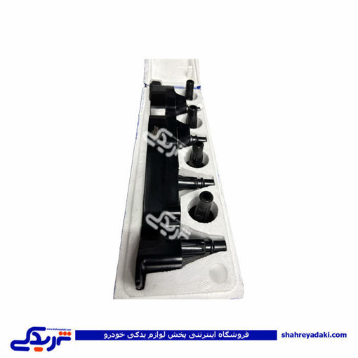 کوئل رانا دیناپارت 2602003