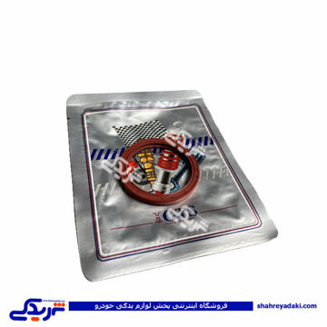 کاسه نمد چرخ جلو پیکان GTS 9000240221