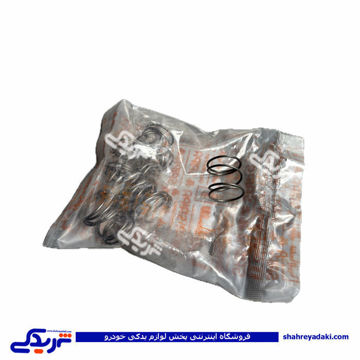 فنر انگشتی سوپاپ پراید (میل اسبک) سایپایدک 500213