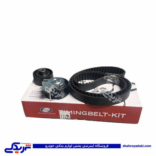 کیت تسمه تایم 206 تیپ 5 کامل با بلبرینگ GMB دیناپارت 1602356