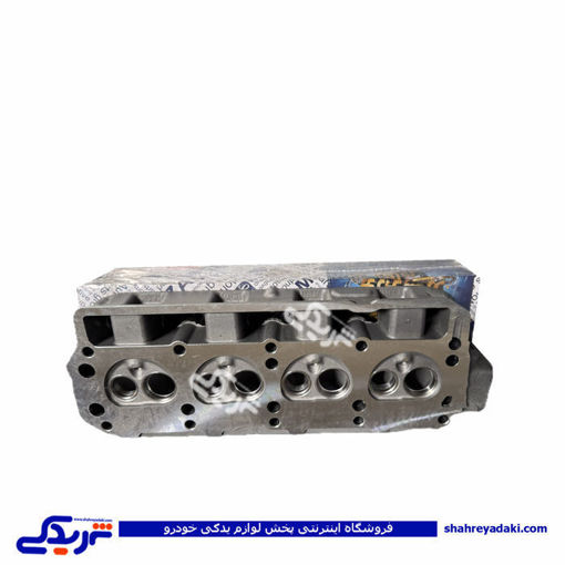 سرسیلندر لخت پیکان، روآ و آردی معمولی عظام 9000140400