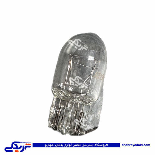 لامپ آریایی بزرگ 2 کنتاکت 9000601500