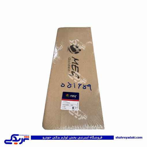 پژو واشر سرسیلندر 405 3 سوراخ MEG 9000551659