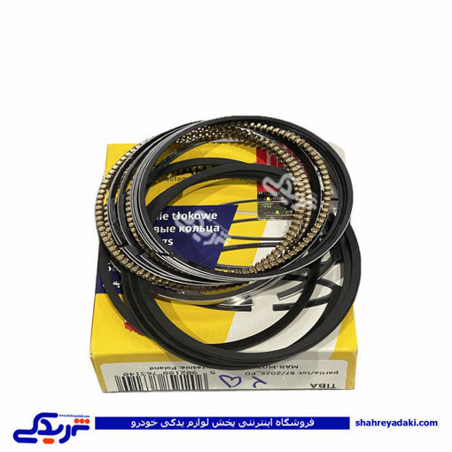 رینگ موتور تیبا سایز 025 مارموت 9000560101