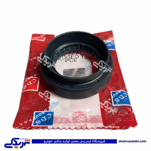 پژو کاسه نمد پلوس 206 کوچک CBS 922