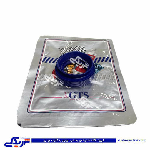 پژو کاسه نمد پلوس 206 کوچک 9000240129 GTS