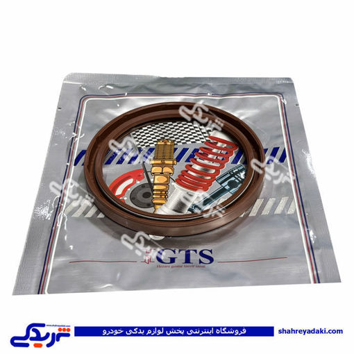 ریو کاسه نمد عقب میل لنگ GTS کد 11044