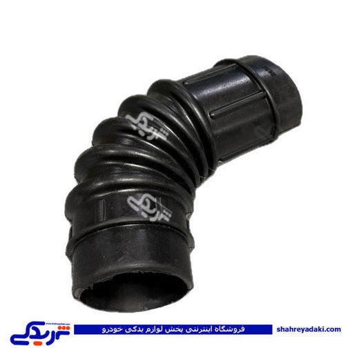 خرطومی کوتاه آردی 9000872942