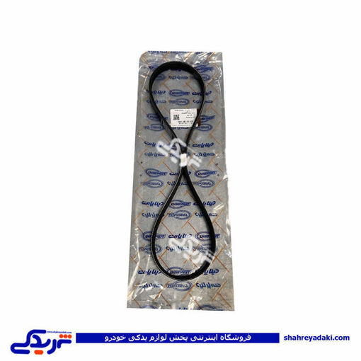 تسمه دینام پژو TU5 855 و R2 رایکالتون دیناپارت 1601115