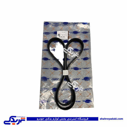 تسمه دینام هیدرولیک پژو TU5 1253رایکالتون دیناپارت 1601117