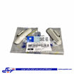 سرب بالانس چرخ 20 گرمی ایساکو 0901000102
